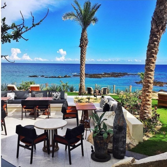 Meet your Posher, Nora - Picture 2 of 2